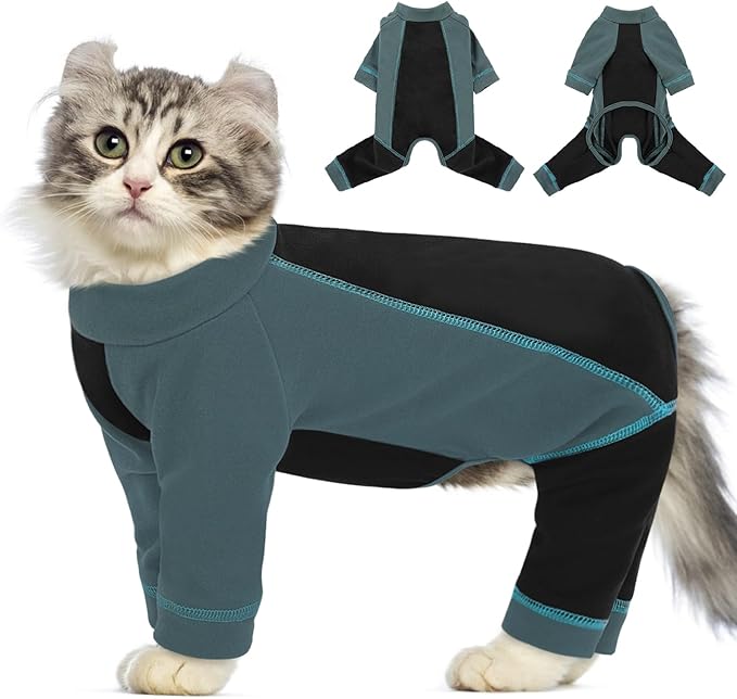 Pet Apparel