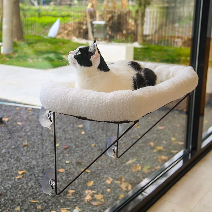 Pet Beds & Furniture
