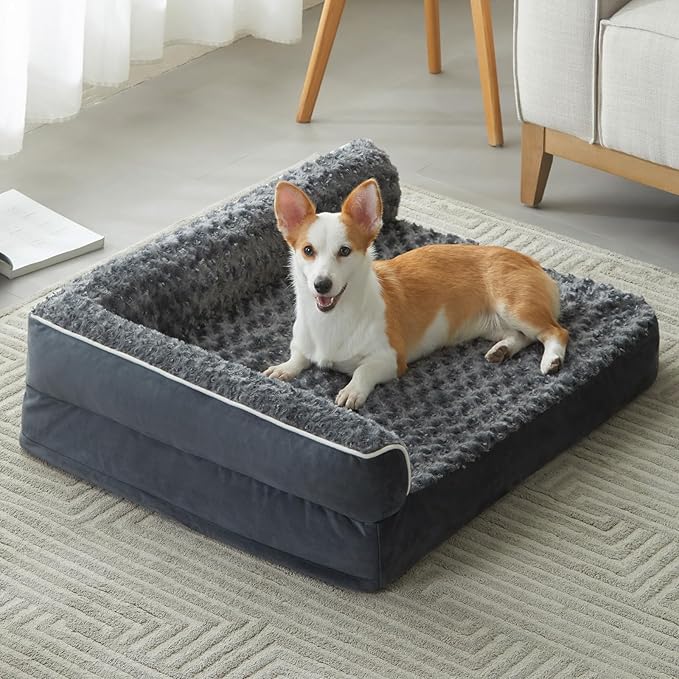 Pet Beds & Furniture
