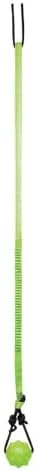 Jolly Pets Tree Tugger Interactive Bungee Dog Toy, Green