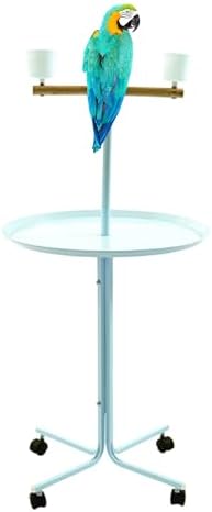 Large 48" Parrot Bird Play Perch Stand, White