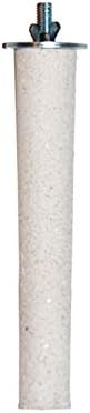 Prevue Pet Products Pacific Perch Beach Walk Medium