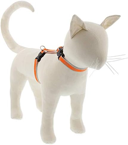 Lupine Reflective Cat and Small Pet H-Style Harness in 1/2" Wide Orange Diamond with 12" to 20" Adjustable Girth