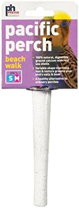 Prevue Pet Products Pacific Perch Beach Walk Medium