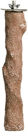 Prevue Pet Products Pacific Perch Branch Ideal for Small to Medium Birds
