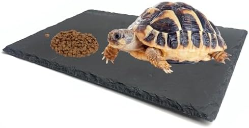 SHIGATSU 7.8"x11.8" Slate Reptile Basking Platform for Turtle Lizard