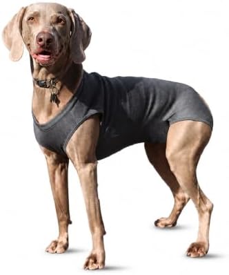 Post-Surgery Recovery Suit for Dogs. Traje Post quirurgico para Perros y Gatos, ropa de recuperacion de mascotas operadas, Cats, Yorkie, zhith tzu, Gatos, 8-15lb (Small)