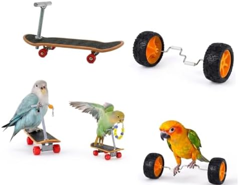 Bird Training Toys Set, 2 Piece Skateboard and Balance Bike for Parrots, Balance Training Accessories (Orange Wheel Core)