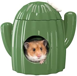 BUCATSTATE Hamster Hideout Ceramic - Cactus Shape Hamster House and Habitats Cool Bed Ideal for Summer Dwarf Hamster Gerbil Mice Golden Bear (Green-Large)