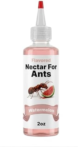 CTWPets Flavored Nectar for Ants — Liquid Ant Food with Electrolytes | Sugar Water Feeding Supplement | 5 Flavors | 2 fl oz (Strawberry)