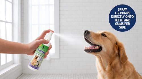 DORCYA Golden Retriever Dental Care Kit for Large Breeds 10 Dog Toothbrushes 10 Dog Finger Brushes 1 Breath Freshener Spray 1 Bonus Toy