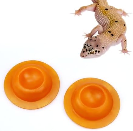 2 Pack Gecko Calcium Dish for Leopard Geckos Reptiles Small Pets Leopard Gecko Food Dish Calcium Bowl Reptile Water Dish Food Bowl