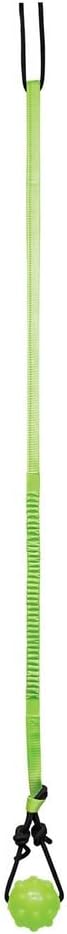 Jolly Pets Tree Tugger Interactive Bungee Dog Toy, Green