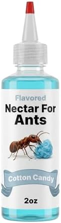 CTWPets Flavored Nectar for Ants — Liquid Ant Food with Electrolytes | Sugar Water Feeding Supplement | 5 Flavors | 2 fl oz (Strawberry)