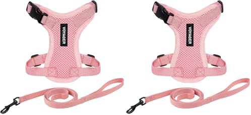 Voyager Step-in Lock Adjustable Cat Harness w. Cat Leash Combo Set with Neoprene Handle 5ft - Supports Small, Medium and Large Breed Cats by Best Pet Supplies - Pink, S (Pack of 2)
