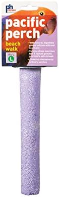 Prevue Pet Products Pacific Perch Beach Walk for Medium to Large Birds