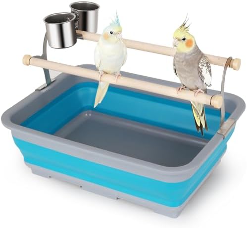 Bird Desktop Training Perch Stand with Washable Plastic Tray, Large Size for Parakeet, Budgie, Cockatiel, Conure, Long Tail Parrot, Collapsible Design (Blue, Large)