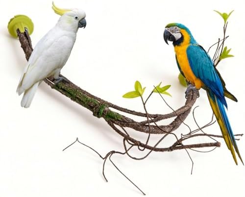 Large Natural Bird Perch for Cage, Bendable Tree Branch Parrot Perch Stand with Leaf Design, Bird Cage Accessories for Macaw, African Grey Parrot, Cockatiel, Cockatoo (Large)