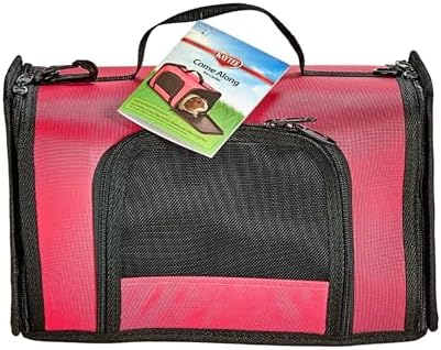 Kaytee Come Along Medium Carrier, Small Pet Carrier for Guinea Pigs