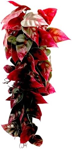 Penn-Plax Reptology Decorative Hanging Terrarium Plant Vines for Reptiles and Amphibians – 12” Length – Green