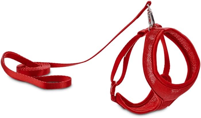 YOULY by Petco Mesh Cat Harness & Leash Set, Red, Medium