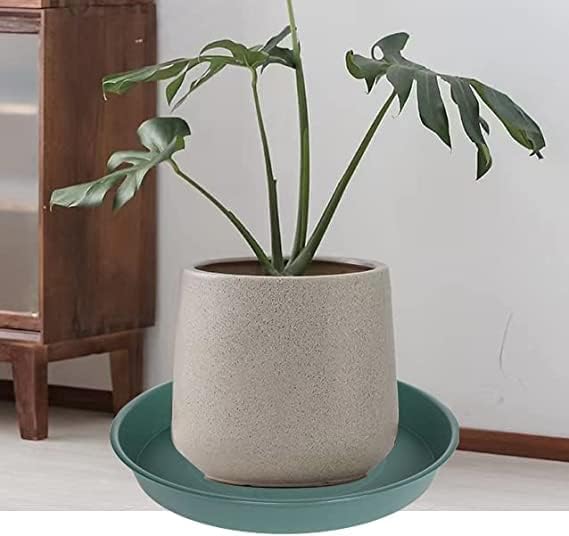 2 Pack of 8 inch Plant Saucer Clear, Heavy Duty Plastic Plant Water Tray 8 inch - Image 7