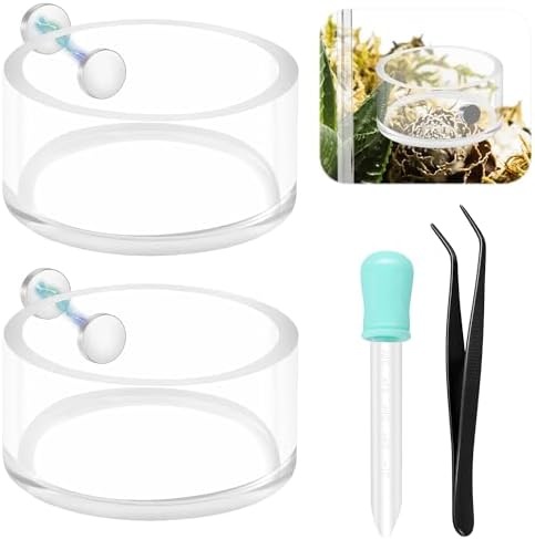 Jumping Spider Magnetic Water Feeding Dish for Small Pets