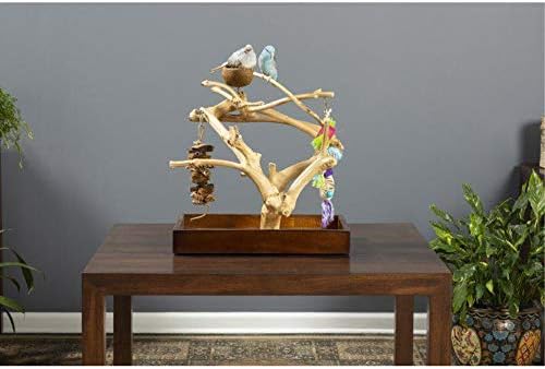 Prevue Pet Products Coffeawood Java Tree Minis Small Table Top Playstand 22633 15.8" L x 10.6" W x 18.0" H