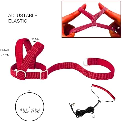 VANFAVORI Adjustable Bird Harness with 80-inch Leash, S Size, 2 Pack
