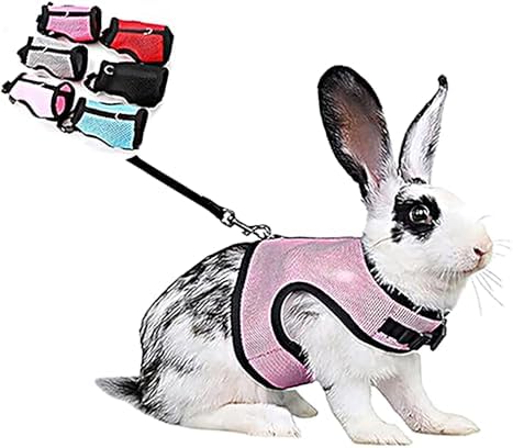 Rabbit Harness and Leash Set, Bunny Vest Leash Eescape Proof Mesh Walking Training for Small Animal Pets Rat Hamster Squirrel Ferret Guinea Pig Bunny,Pink M