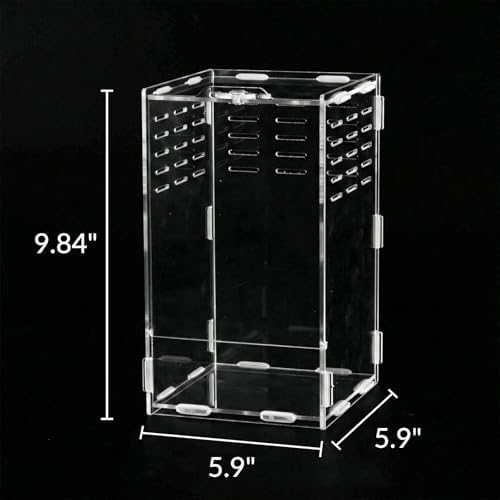 9.8 Inch Jumping Spider Enclosure, Desktop Micro Terrarium, Breeding Box, 360° Clear Acrylic Insect Habitat, 3-Side Ventilation, Easy Assembly, for Mantis, Tarantula, Snail, Small Reptiles, Plants