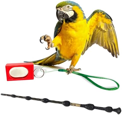 Parrot Training Clicker with Target Stick, Getting Started Bird Clicker Training Kit, All Bird Breeds Training Stick Foster Discipline and Behavior Training, for Parrots Birds Lovers