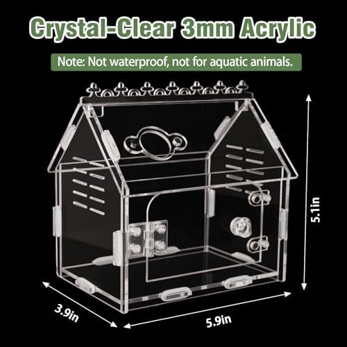 Acrylic Jumping Spider Enclosure Magnetic Lock Terrarium