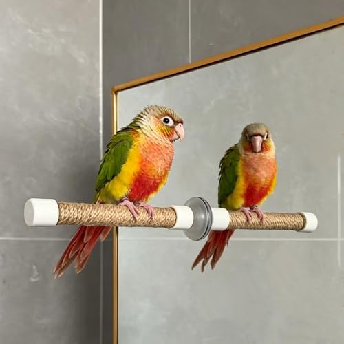 Suction Cup Bird Perch for Window, Natural Wood Parrot Stand with Strong Suction Cups, Portable Travel Perch for Shower/Bath/Car, Training Perch for Parakeet Cockatiel Conure Budgie (Medium)