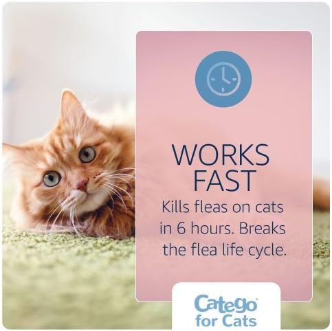 Catego Flea and Tick Prevention for Cats - Over 1.5 lbs, 3 Month Supply