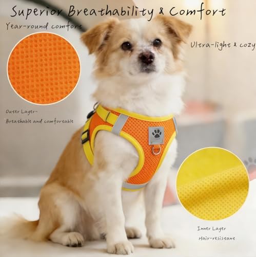 Pet Harness Vest with Leash for Small Medium Dogs Cats-No Pull Step-in Pet Vest Breathable Soft Lightweight Harness and Leash Set for Puppy Kitty Bunny-Orange-XS