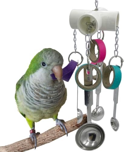 Durable Bird Parrots Scoops and Bagel Toys, Pullable Stainless Steel Spoon and Cardboard Ring Toys for Small and Medium Bird Parakeets, Cockatiels, Conures, Budgie, Lovebirds, Finches