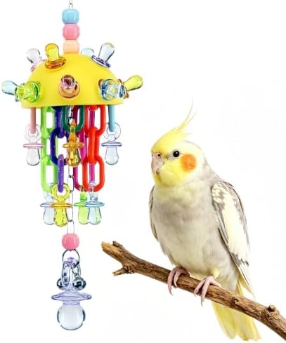 Bird Plastic Toys with Acrylic Pacifiers and Bell
