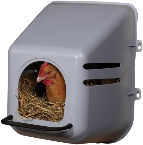 Little Giant Single Plastic Nesting Box Chicken Nest Box with Perch (Item No. 163620)