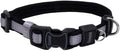 Coastal Pet - Coastal - Inspire Enhanced Core - Adjustable Collar, 5/8" x 8"-12" by Coastal+Pet