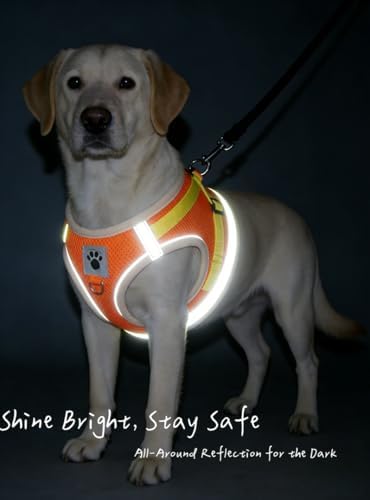 Pet Harness Vest with Leash for Small Medium Dogs Cats-No Pull Step-in Pet Vest Breathable Soft Lightweight Harness and Leash Set for Puppy Kitty Bunny-Orange-XS