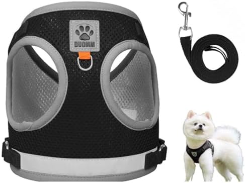 Pet Harness Vest with Leash for Small Medium Dogs Cats-No Pull Step-in Pet Vest Breathable Soft Lightweight Harness and Leash Set for Puppy Kitty Bunny-Black-L