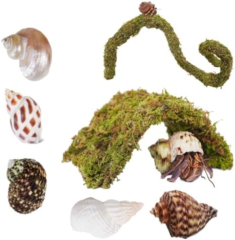 Hermit Crab Accessories 7PCS, Include 5PCS Hermit Crab Shells, 1PCS Climbing Toy and 1PCS Hermit Crab Hideout