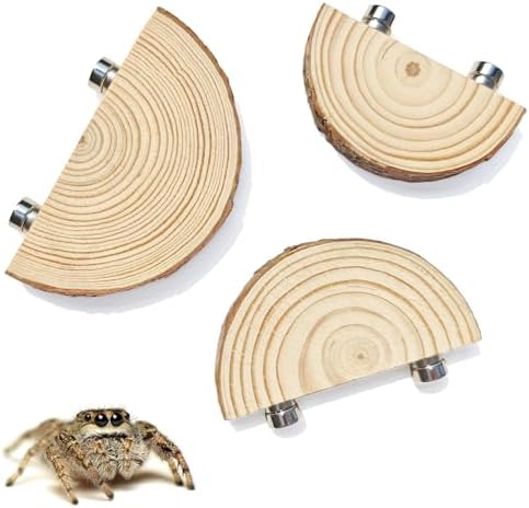 3 Pack Jumping Spider Enclosure Climbing Platforms, Magnetic Jumping Spider Wooden Ledge Ladder, Jumping Spider Accessories, Habitat Decor for Small Light Critters