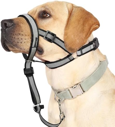 BARKLESS Reflective Head Collar, No Pull Collar for Medium Dogs