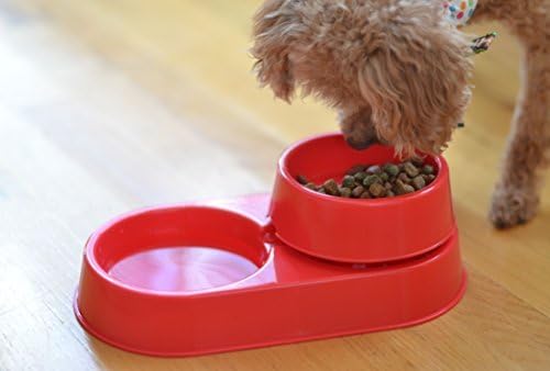 The 3-in-1 Ant Free Pet Dish (Small YG)