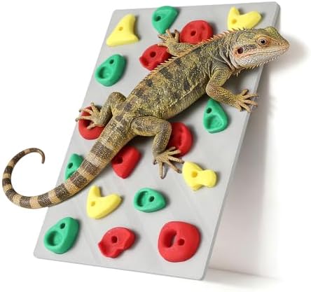 MITCHENIFY Reptile Climbing Wall, Bearded Dragon Accessories Toys