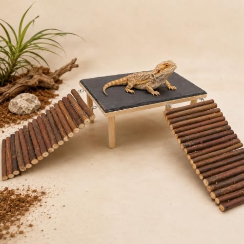 Large Reptile Basking Platform with Slate Top and 2 Willow Wood Ladders, 11.8 x 7.9 in Raised Climbing Ramp for Bearded Dragons, Leopard Geckos, Lizards, Tortoises, Toads and Terrariums