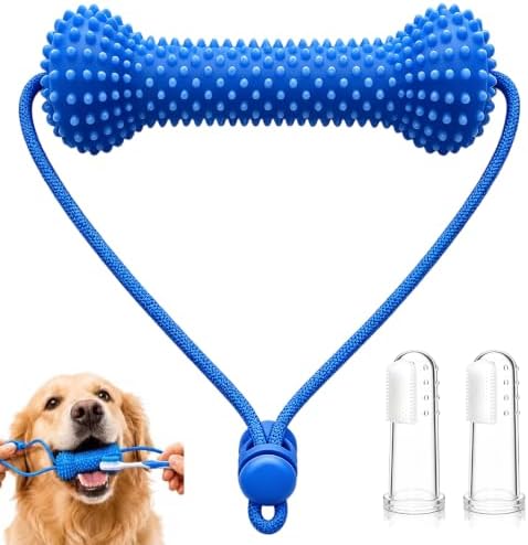 Dual-Action Canine Dental Prop, Dog Dental Chew Toy for Easier Teeth Brushing, Premium Pet Oral Care Accessory，Brushing Toothbrush Tools Care Chew Toys（1PCS）