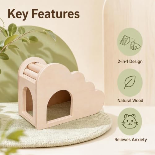 Hamster House and Hideout with Climbing Ladder